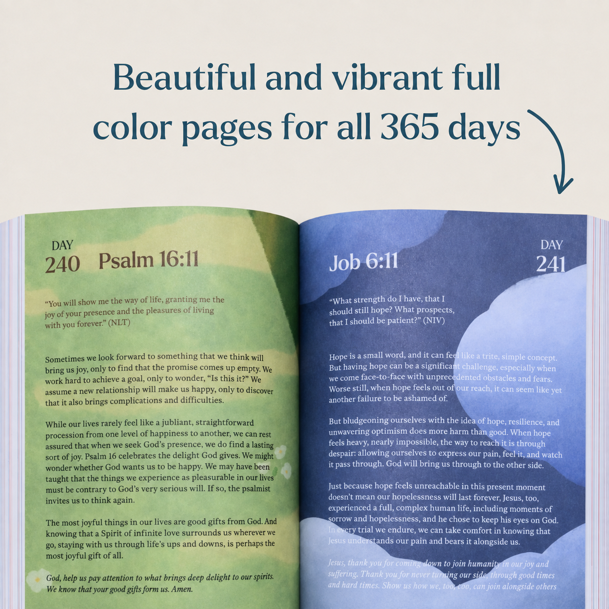 365 Day Bible Devotion